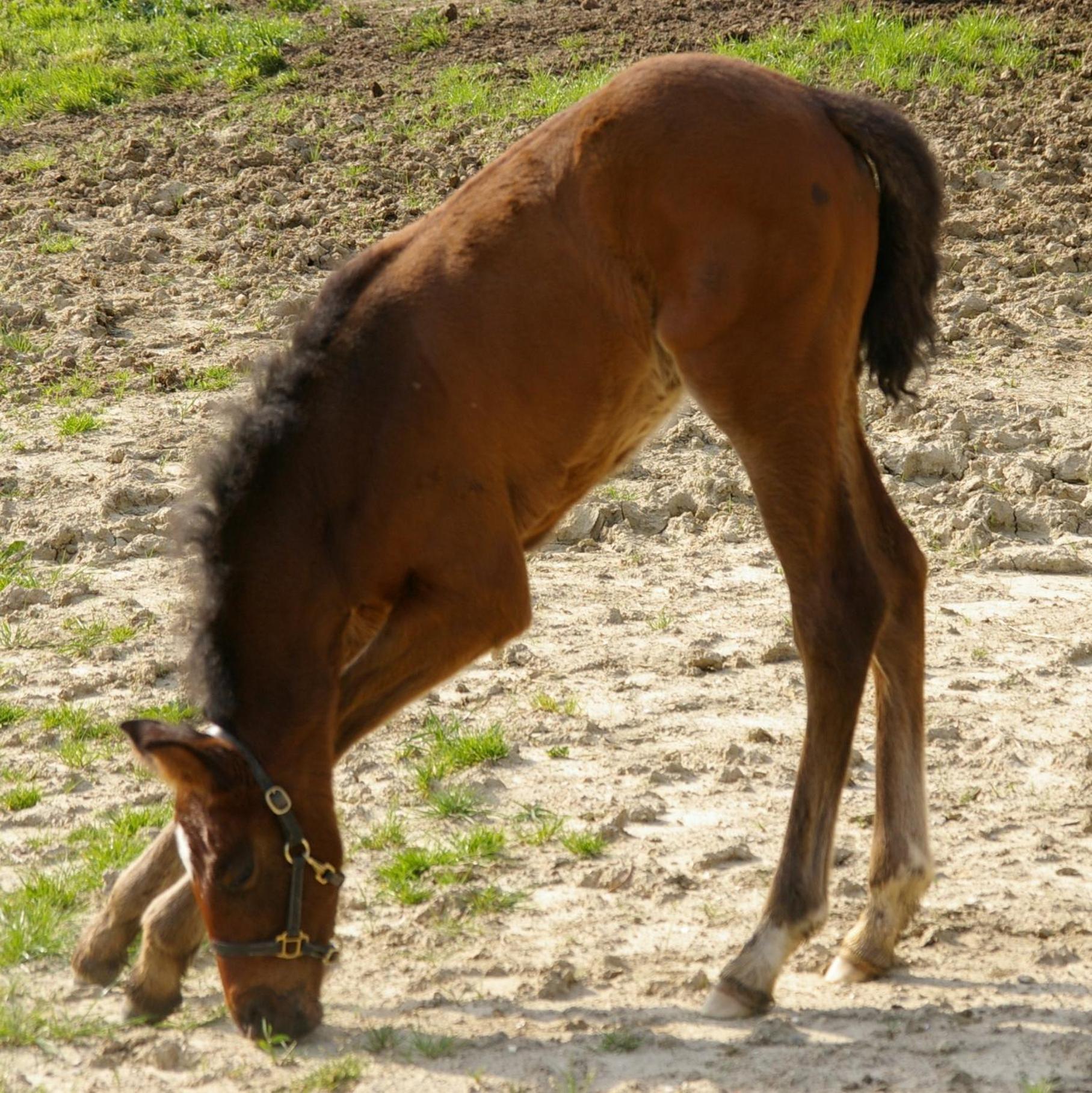 Santa Maria A Poneta Βίλα Barberino di Val dʼElsa Εξωτερικό φωτογραφία